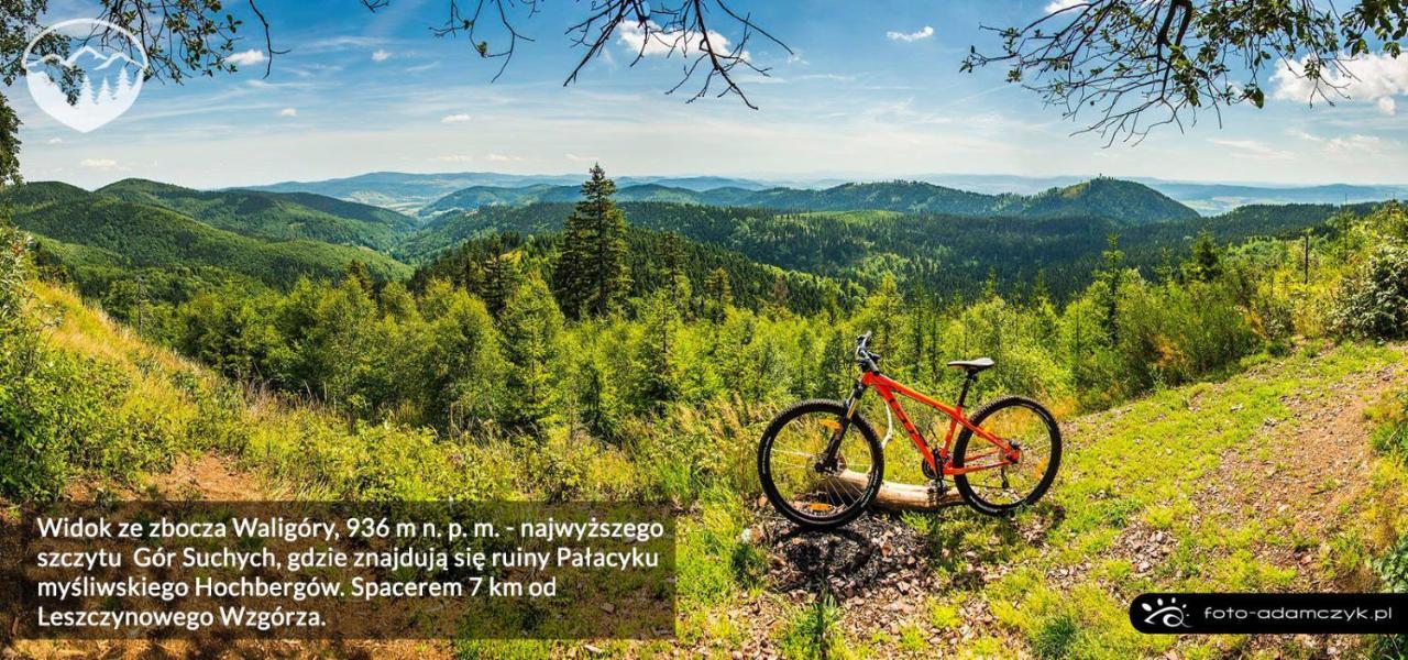 Leszczynowe Wzgorze