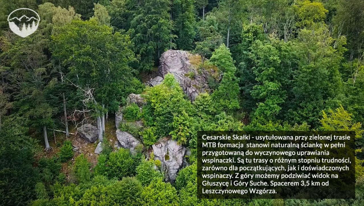 Leszczynowe Wzgorze Gluszyca