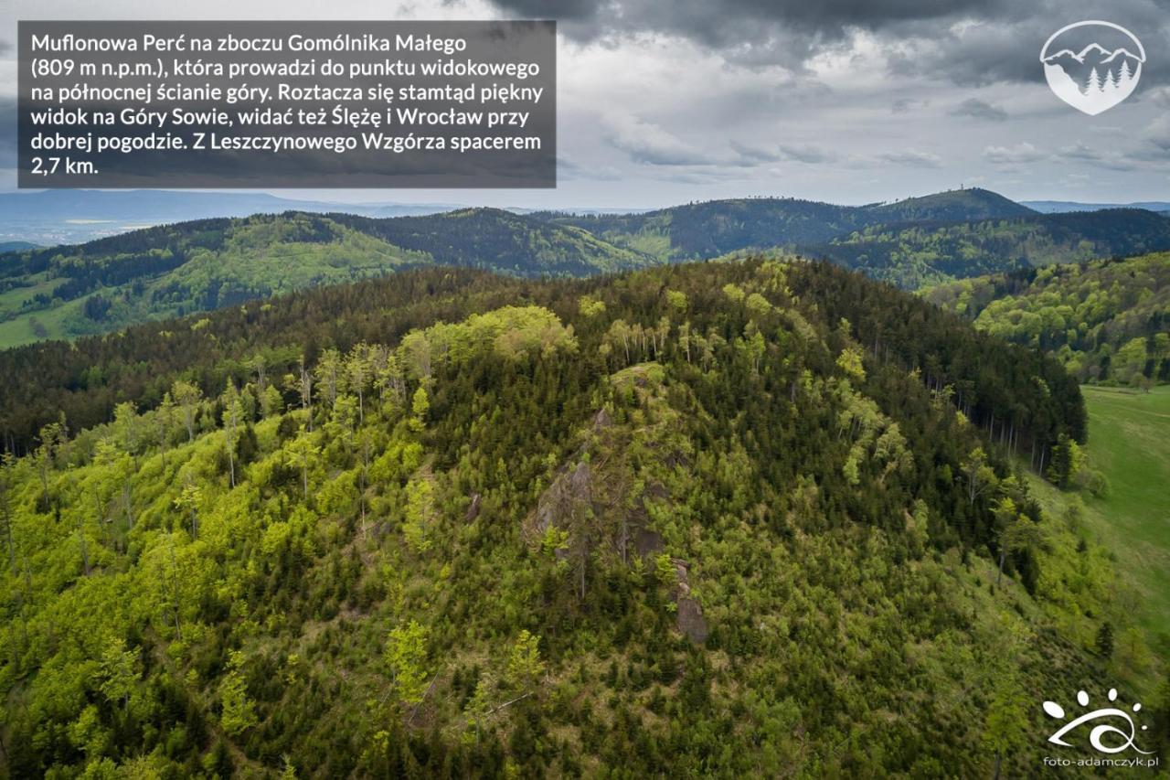 Leszczynowe Wzgorze * Gluszyca