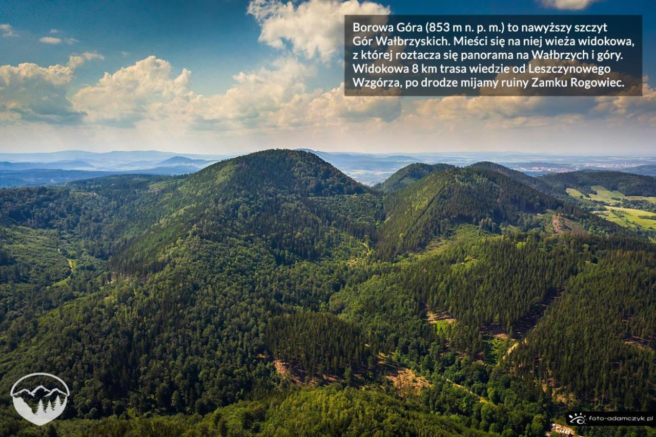 Leszczynowe Wzgorze Gluszyca